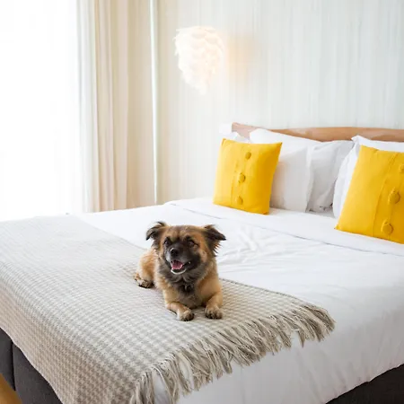 Cerca Design House 4* Donas