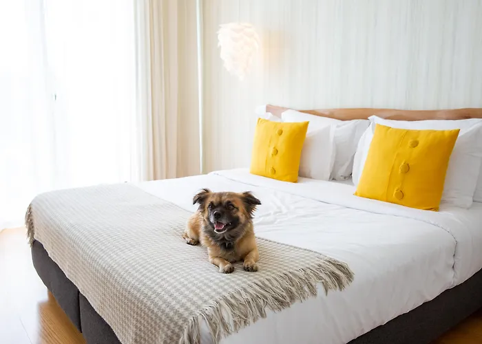 Cerca Design House 4* Donas