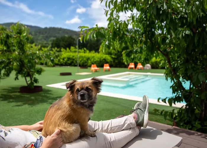 Cerca Design House Donas